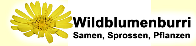 wildblumenburri